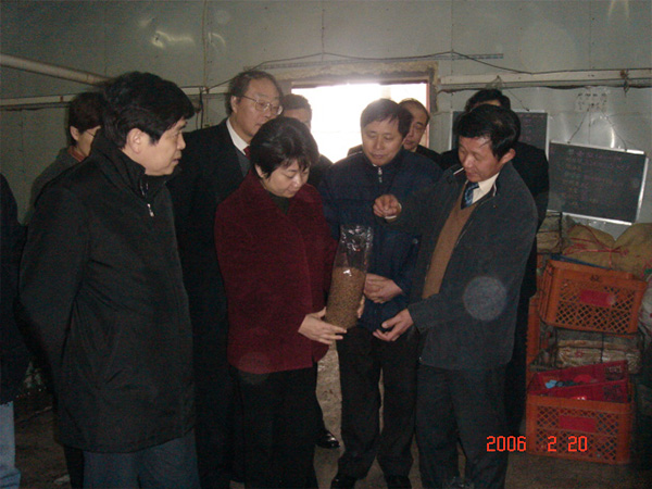 2006年江蘇省原副省長(zhǎng)黃莉新現(xiàn)場(chǎng)考察指導(dǎo)