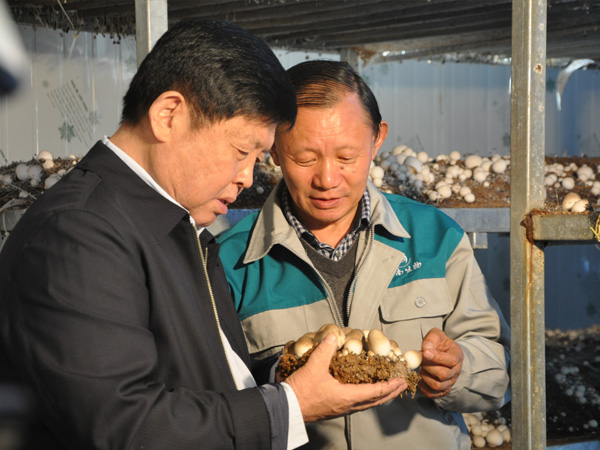2014年李玉院士在草菇基地考察指導(dǎo)